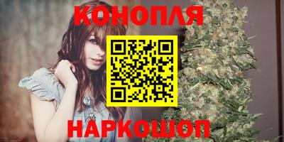 сатива Бузулук