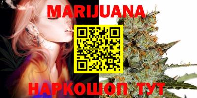 сатива Бузулук