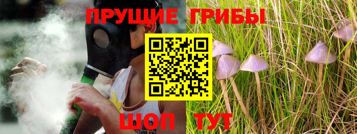 Псилоцибиновые грибы Cubensis  где продают   Галлюциногенные грибы ЛСД  Саянск  Вход с VPN 